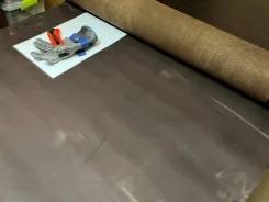 ���� �����������. ����