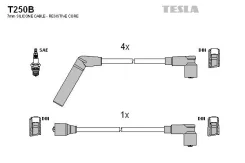 T250b ������� �/� �-� t250b Tesla T250B ����