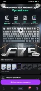����������. ����