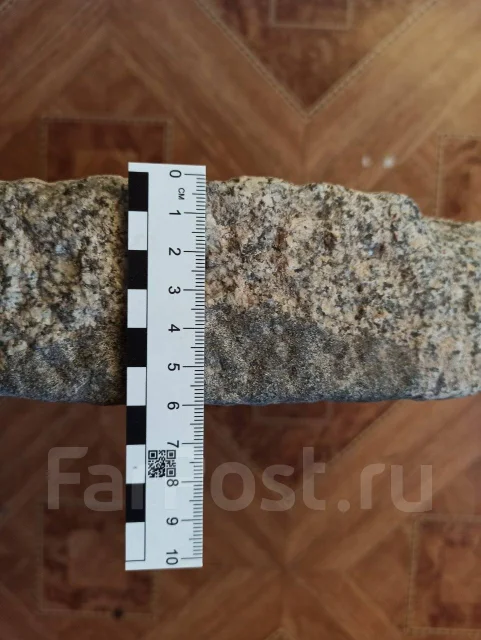 ������ (35 ��) ����