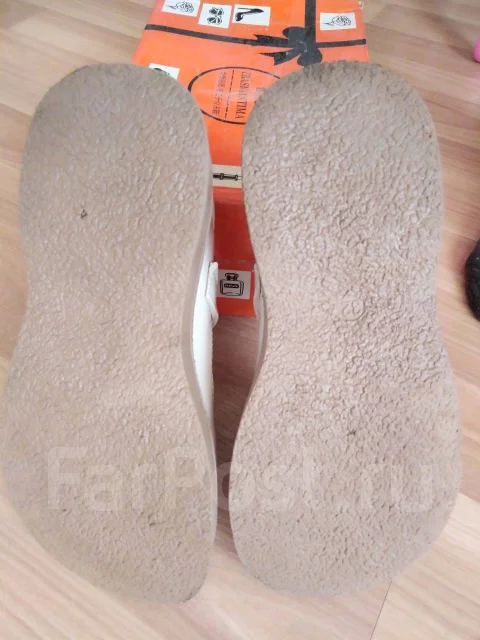 �����. 31 ����