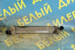 ���������� Renault Kangoo 8200221885 ����