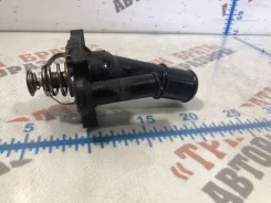 ��������� Ford Focus D2G013TT D2G013TT ����