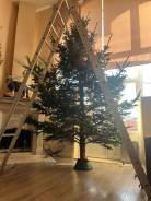 ���� �����. ����