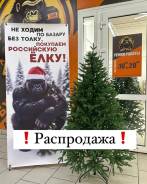 ���� �������������. ����