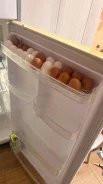 ������������. ����