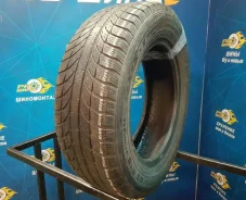 GT Radial Champiro WinterPro