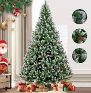 ���� �������������. ����