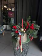 ������ ����������. ����