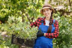 ��������-�����������. �� ��� �. �. ���������� ����, ���������� ��������� �����, �����, ����� ���������� 2� ����