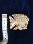 ����� ��������� �������� �� ����������� ���� ����