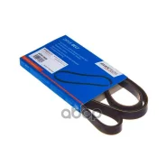 ������ ������������ Avantech BPE7-15-909 Avantech 4PK1005 Avantech ���. 4PK1005 4PK1005 ����