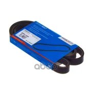������ ������������ Avantech Avantech ���. 5PK1305 5PK1305 ����