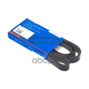 ������ ������������ Avantech 90916-02516 / 1723603 Avantech ���. 6PK1670 6PK1670 ����
