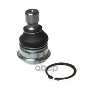 ����� ������� Avantech Avantech ���. ABJ0203 ABJ0203 ����