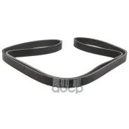 ������ ������������ Bando 1383663/6C1Q6C301CB Bando ���. 6PK1670 6PK1670 ����