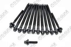 ����� � ����� / Ti-GUAR ��� Peugeot; 10 ���� M10 150��, 2 M8 95,3��, 1 35��; TG-CHB055-SET; 11127560274 81044100 426830 Ti-Guar ���. TG-CHB055-SET TGC...