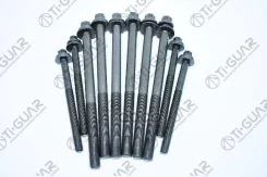 ����� � ����� /TI-GUAR ��� Fiat 2002- F1AE0481C F1AE0481D F1AE0481N 2286 CC Diesel; ���. 6 M14 1,5 193��. ; 4 M11 133��. ; TG-CHB043-SET; 500347039 81...