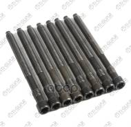 ����� � ����� /TI-GUAR ��� Audi A4 Avant Cabrio A6 Passat 4assat 4 Variant; ���. 10/ ������ M10/ ��� ������ 1,5/ ������ 132��. ; TG-CHB122-SET; 06B103...