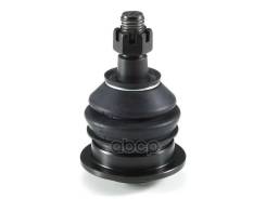����� ������� | ����� ����/��� | 01011160 ����
