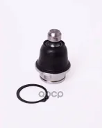 ����� ������� JETT V61-047 (CBN-83) 55501EB300, �55502EB31A, �55502EB300, �54501EB30A, �54500EB300, �4520182Z10, �54501EB300, �54501EB31C, �55501EB31A...