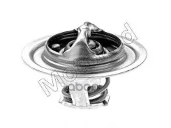 ��������� BigHorn UBS25GW (6VD1) 77���� 320-77 32077 ����