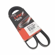 ������ ��������� ������������ (6x1098��. ) Lynx 6PK1098 119202Y5X1 ����
