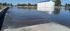 ������������� �����������. ����
