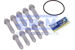 �������� ������ M14x1 5x65 12 9 ��������� ���� ����� SAF Se-M ���. 16153 16153 ����