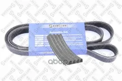 ������ ������������! 4PK954 Peugeot 405 88 Stellox 0400954SX 0400954SX ����