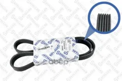 ������ ������������ 6PK1205 Stellox ���. 0601205SX 0601205SX ����