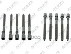 ����� � ����� /TI-GUAR ��� Audi Seat Skoda Volkswagen 1996- AGN AGU Ajhajq APP APX APG; ���. 10/ ������ M10/ ��� ������ 1.5/ ����� 115��. ; TG-CHB018...