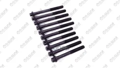 �������� ������ ��� /TI-GUAR ��� Renault Dacia 1989- E5F E6J E7J764 K7M-744 K7M-745 K7M-746; 10 ����. 5 ������ M10 ��� ������ 1,5 ����� 98�� 113��; Tg...