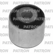 ����������� ������ �������� Patron PSE1565, �������� PSE1565 ����