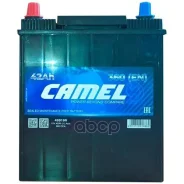 Camel