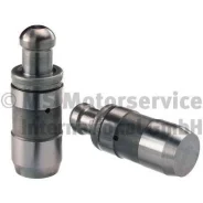 ������������� 50006431 Kolbenschmidt 50006431 ����