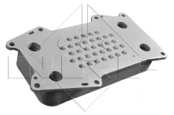 �������� �������� 31203 NRF 31203 ����