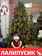 ���� �������������. ����