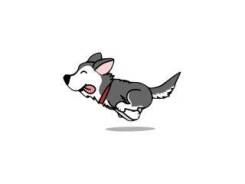 �������� �� �������� ���������. ����� ���� �� ��������� �.�. 160302787554. ����� ������� 47�/1 ���. 2 ����