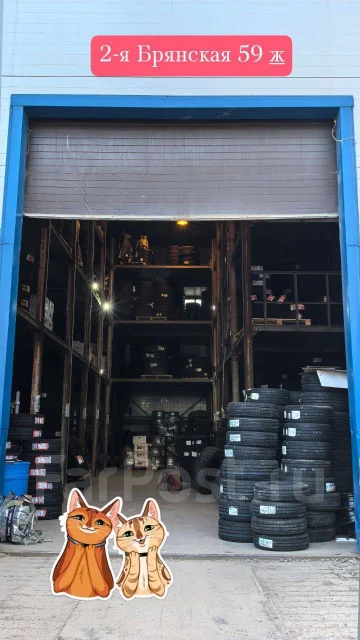 Infimax. �����������, 2025 ���, ����� ����