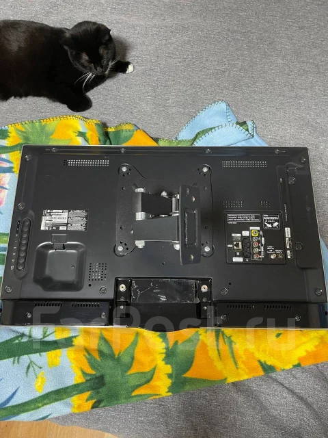 LG ����