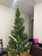 ���� �������������. ����