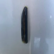 ����������� �������� ��������� ����� ���. BMW 63137164757 63137164757 ����