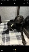 ������. ����