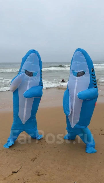 ������ ������� ����