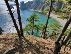 ���������. ����