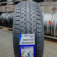 Fortune FSR-802. ������, 2025 ���, ����� ����