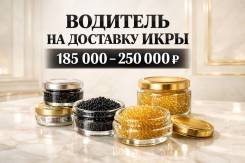 ��������-������-��������-����������. �� ������ �.� ����