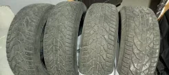 Tigar Ice. ������, ��� ����, 2021 ���, �/�, ����� 40 %. �������� ������� ����