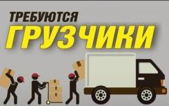 �������. ��� ������. ����� ����������� 16/4 ����